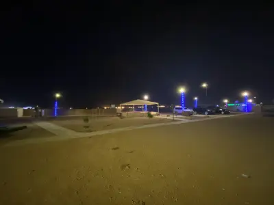 صورة ٤، مخيم وارف البري