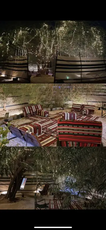 صورة ٣، مخيم الشجره