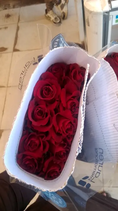 صورة ٣، استراحة سعد العلي