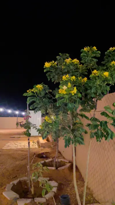 صورة ٦، مخيم غيمة شتاء
