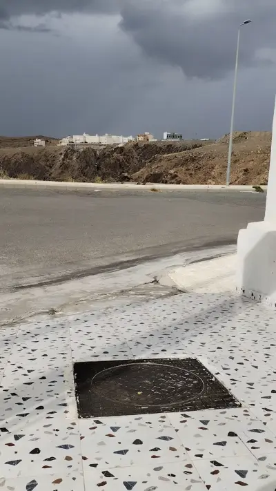 صورة ٣، سدرة المطل