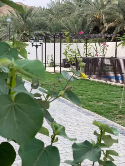 صورة ٣، شالية الغدير