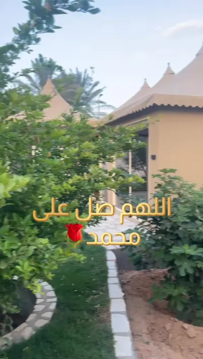 صورة ٢، شالية الغدير
