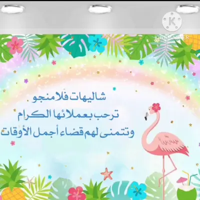 صورة ٣، شاليهات فلامنجو