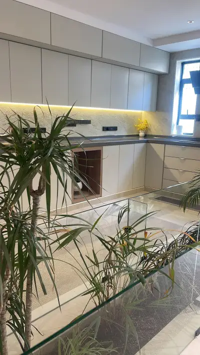 روح الشفا