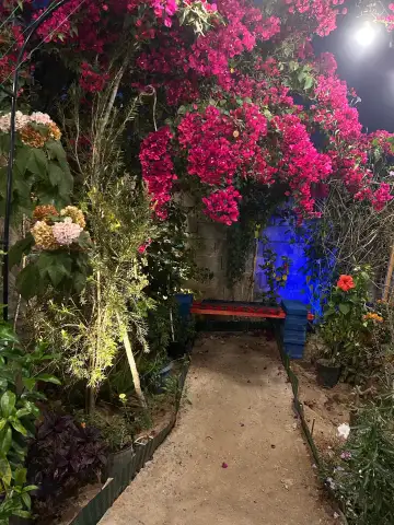 صورة ٣، مخيمنا غير