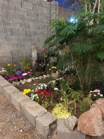 مخيمنا غير
