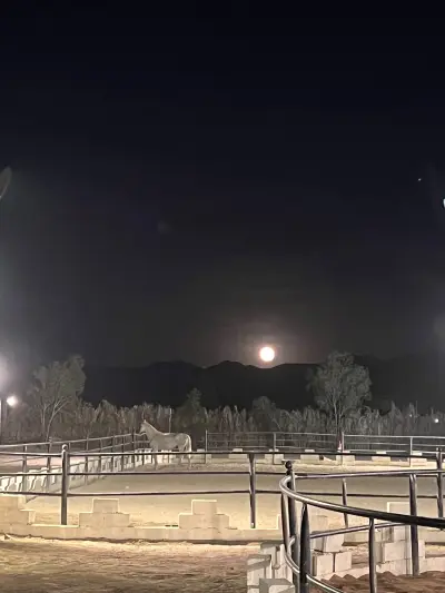 صورة ٢، مخيمات و مربط الأكحل للخيل العربية الأصيلة