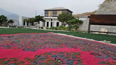 استراحة ابوحمزه