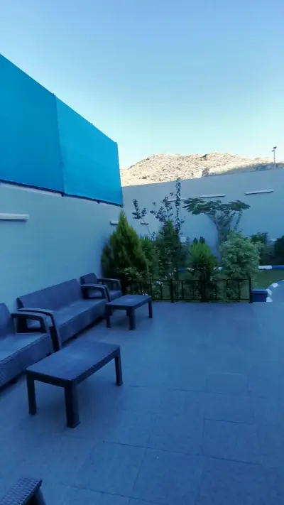 صورة ٥، استراحة غزال