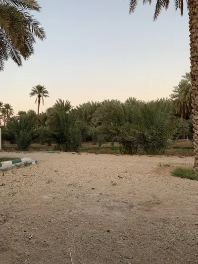 مزرعة الصفيان