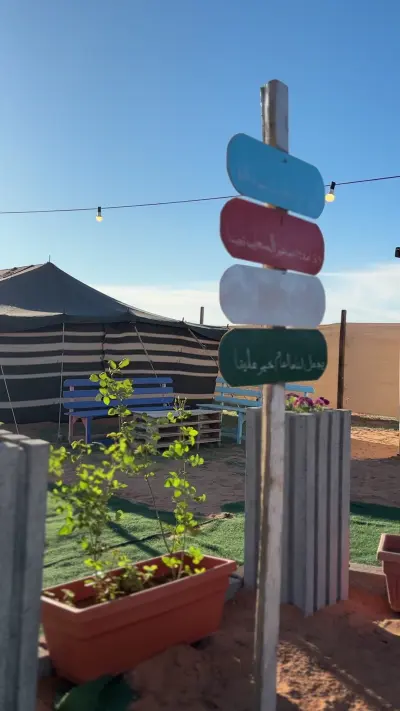 صورة ٤، مخيم ام شجرة