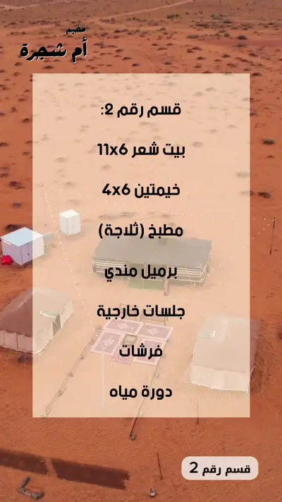 صورة ٢، مخيم ام شجرة