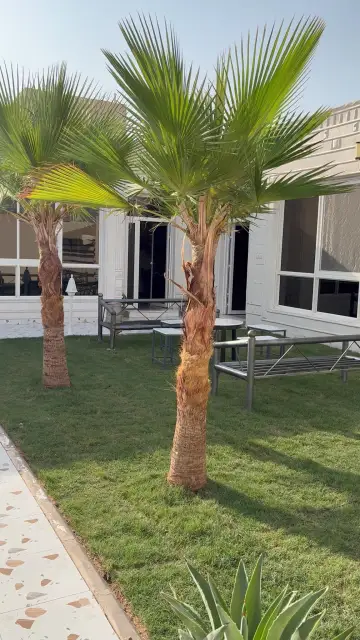 صورة ٣، شاليه N1