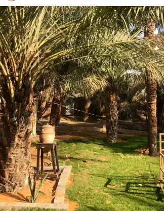 صورة ٢، مزرعة الفارسيه للإيجار اليومي
