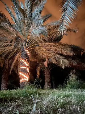 صورة ٣، مزرعة الفارسيه للإيجار اليومي