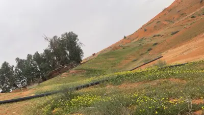 مزرعة الزنيدية