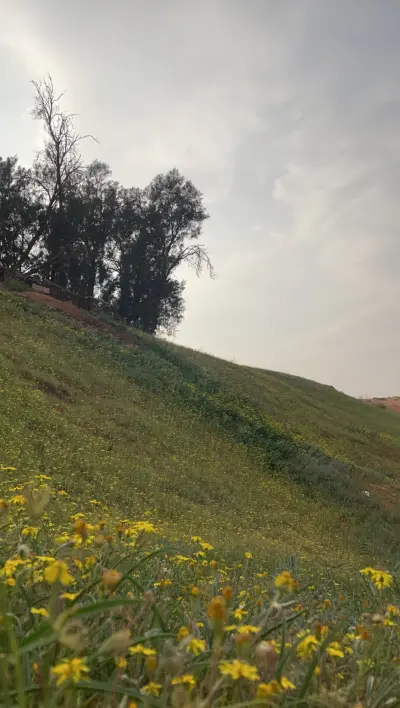 صورة ٢، مزرعة الزنيدية