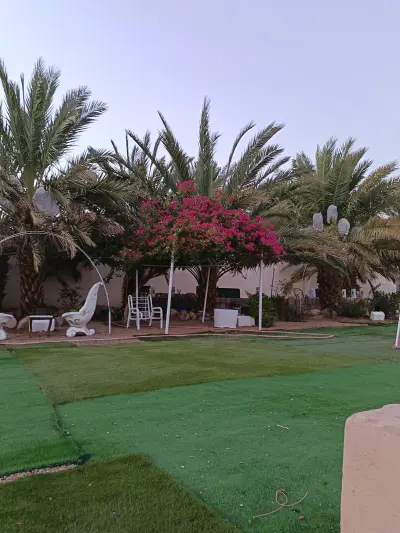 صورة ٥، استراحة نورة