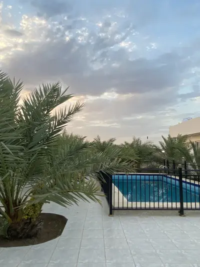 صورة ٣، استراحة ظل النخيل