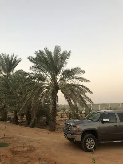 صورة ٤، مزرعة اللسابا