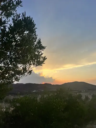 صورة ٢، مزرعة الشيخ ابن نويجي