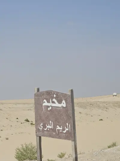 مخيم الريم البري