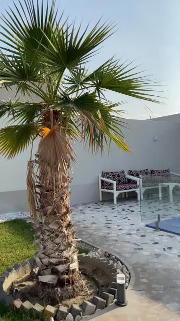 صورة ٤، شاليهات لوسيل