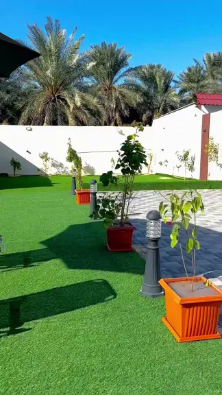 صورة ٤، شاليه لايف