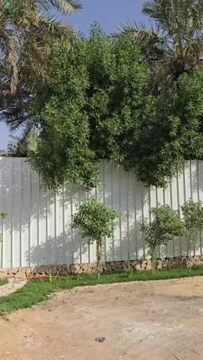 صورة ٦، شاليه عين