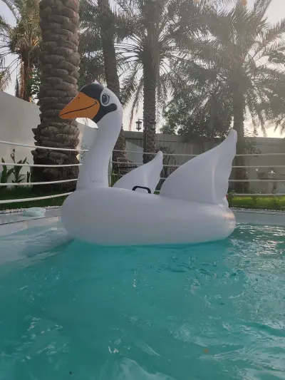 شاليه عين