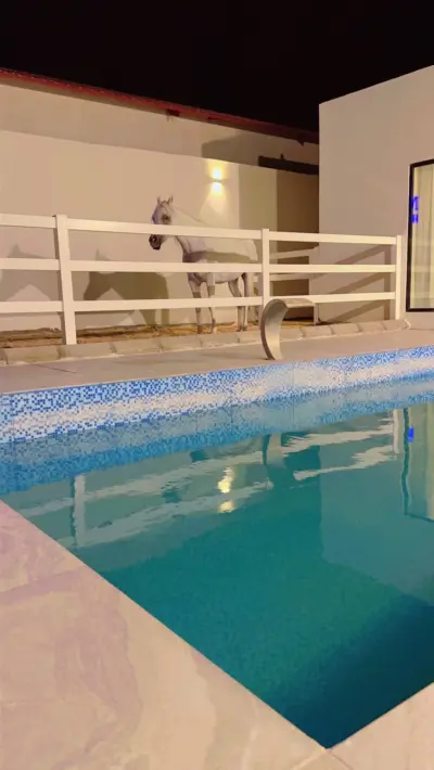 شاليه ام تي هورس