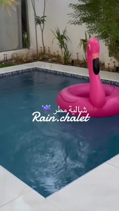 صورة ٤، شالية مطر