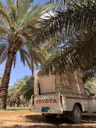 صورة ٢، مزرعة السفيلا