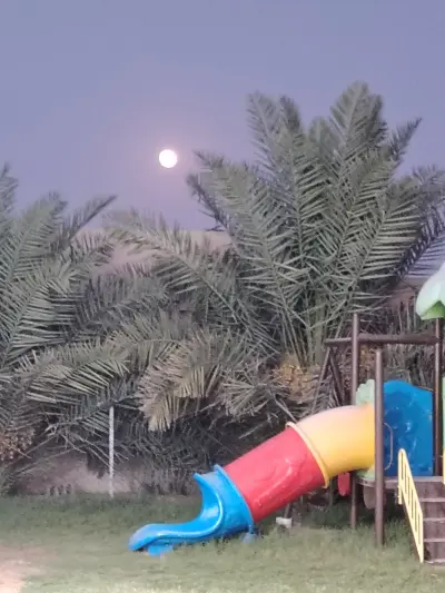 صورة ٣، منتجع المطر