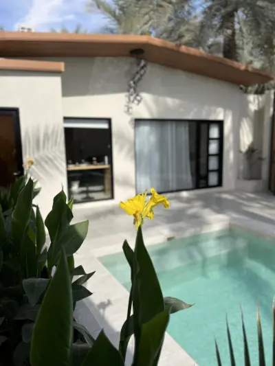 صورة ٣، شاليه دولا DOLA CHALET