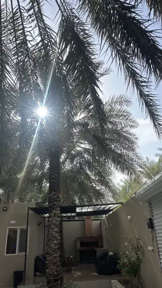 صورة ٤، شاليه ملاذ النخيل