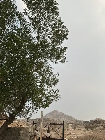 صورة ٤، مزرعة الفتنان