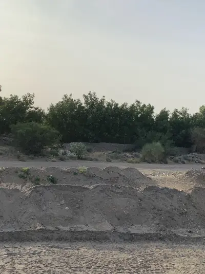 صورة ٦، مزرعة حامد السفيري