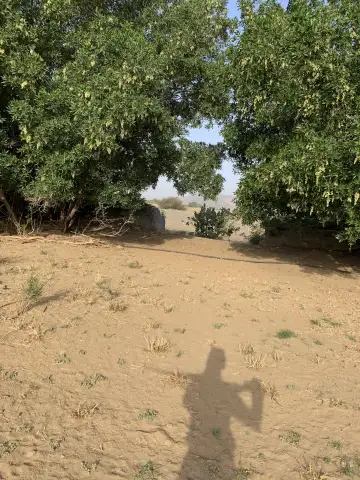 صورة ٢، مزرعة حامد السفيري