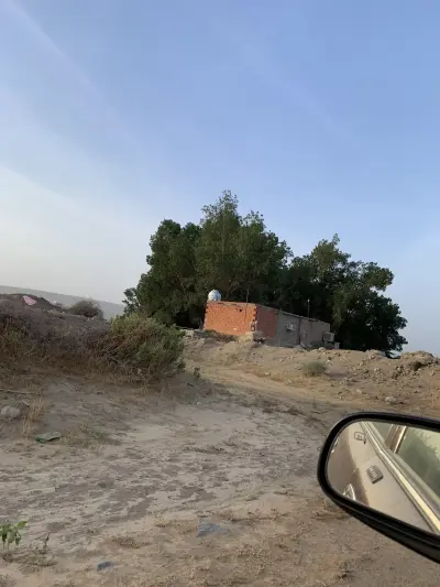 صورة ٤، مزرعة حامد السفيري