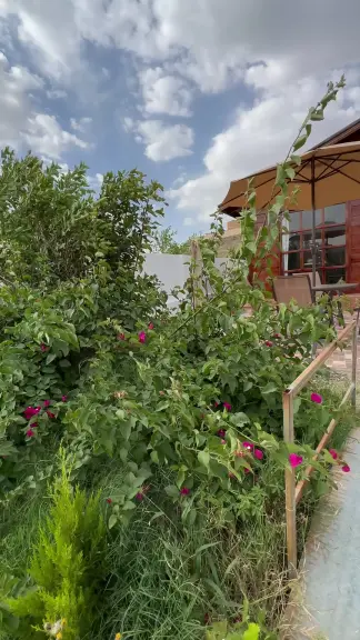 صورة ٣، Farm cottages اكواخ المزرعه تندحه