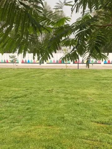 صورة ٥، استراحة واحة السعد