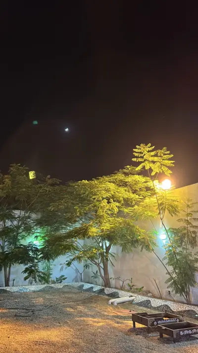 مخيمات السعد