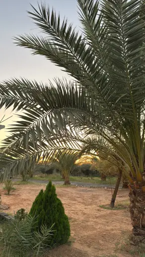 صورة ٢، شاليهات اريان