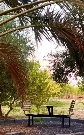 صورة ٣، شاليهات اريان