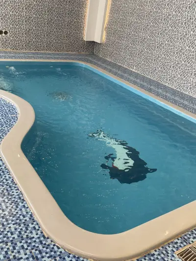 صورة ٣، شاليهات ويلز
