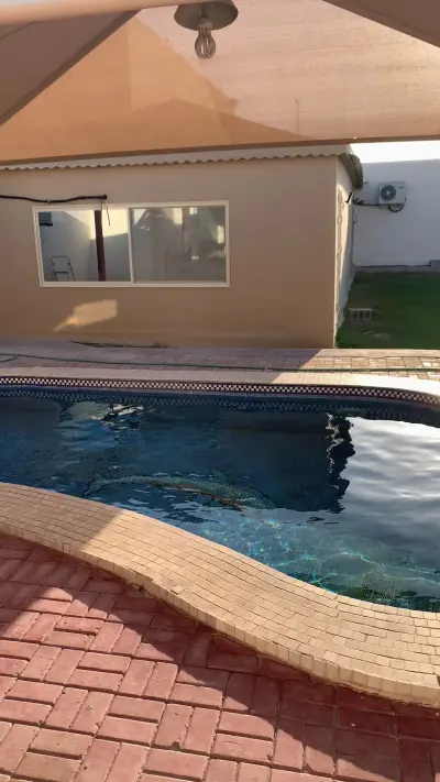 صورة ٢، استراحة خيال العزيزيه