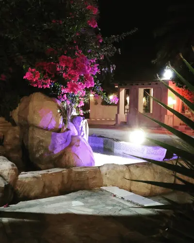 صورة ٢، استراحة النورس بالاحساء