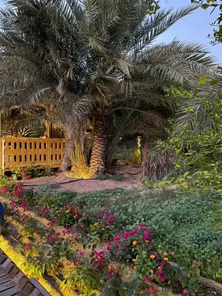 مزرعة الصبحي- يتطلب الحجز المسبق ALSUBHI FARM